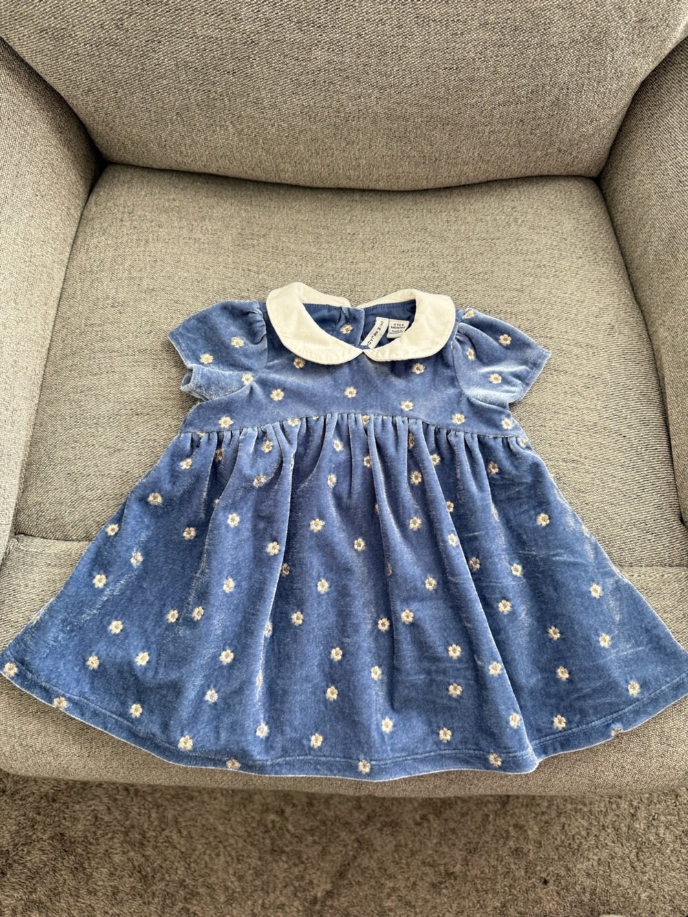 Janie and Jack Blue Floral Velvet Dress with Cream Peter Pan Collar